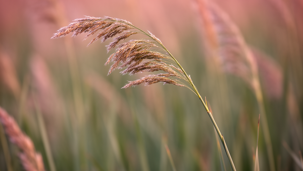 Finding Your Footing: How to Build Emotional Resilience One Small Step at a Time
