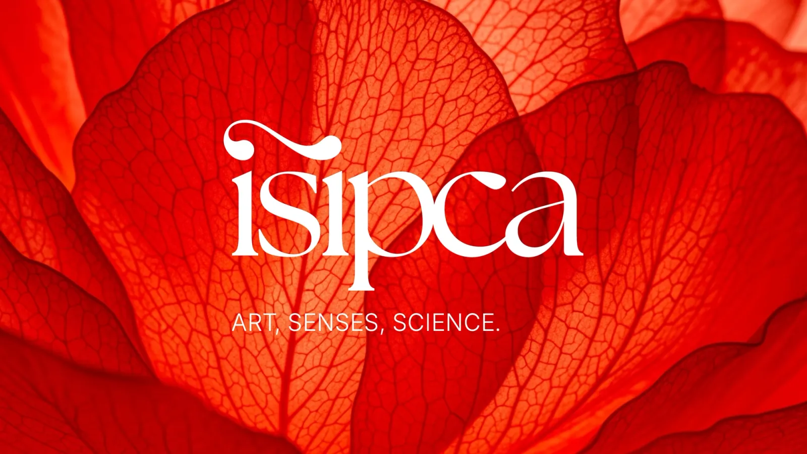 Art, sciences, science