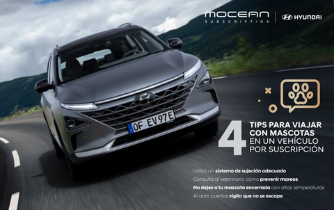 se puede llevar animales coche suscripción