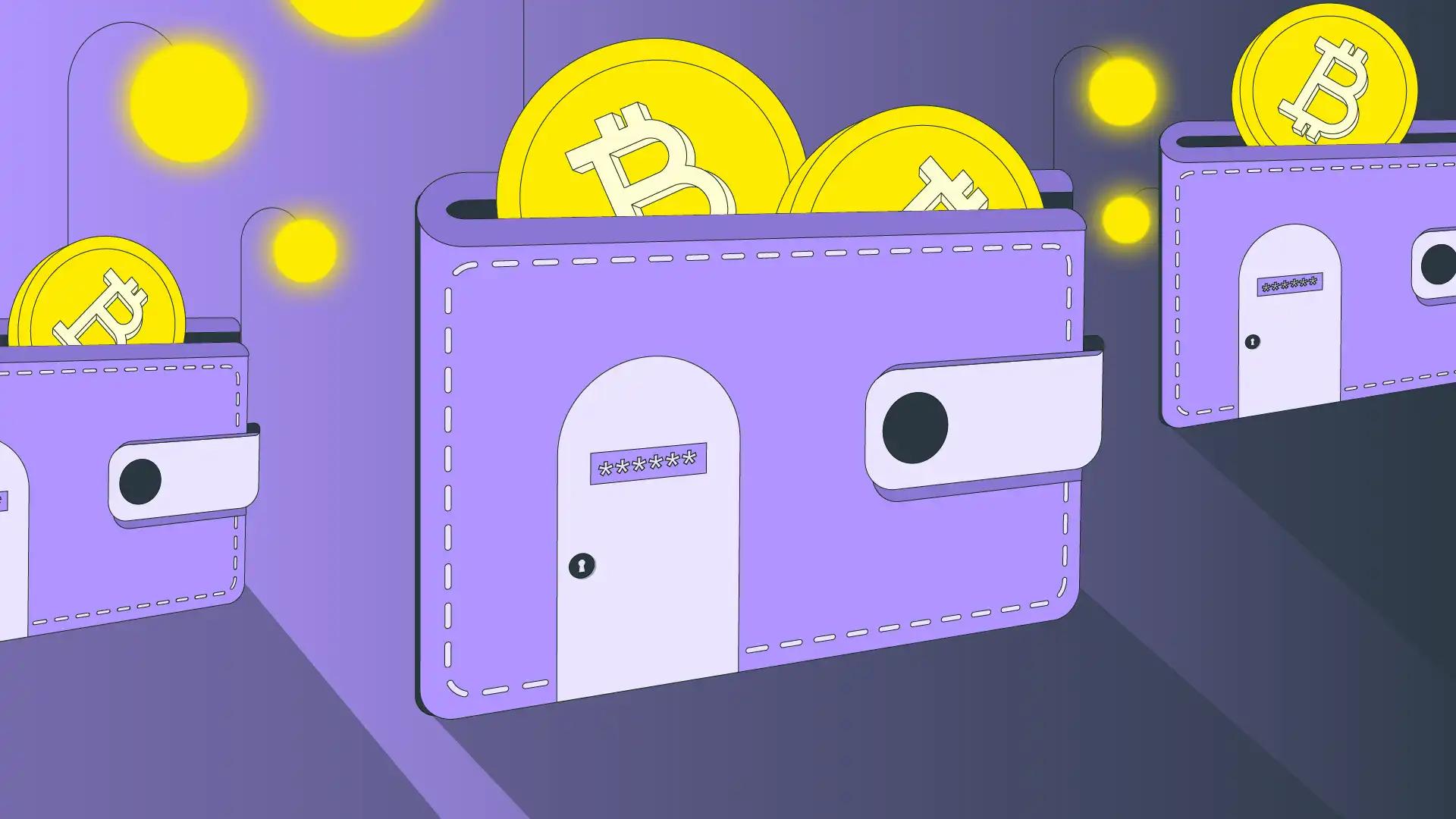 illustration of a wallet - How to Find a Crypto Wallet Address