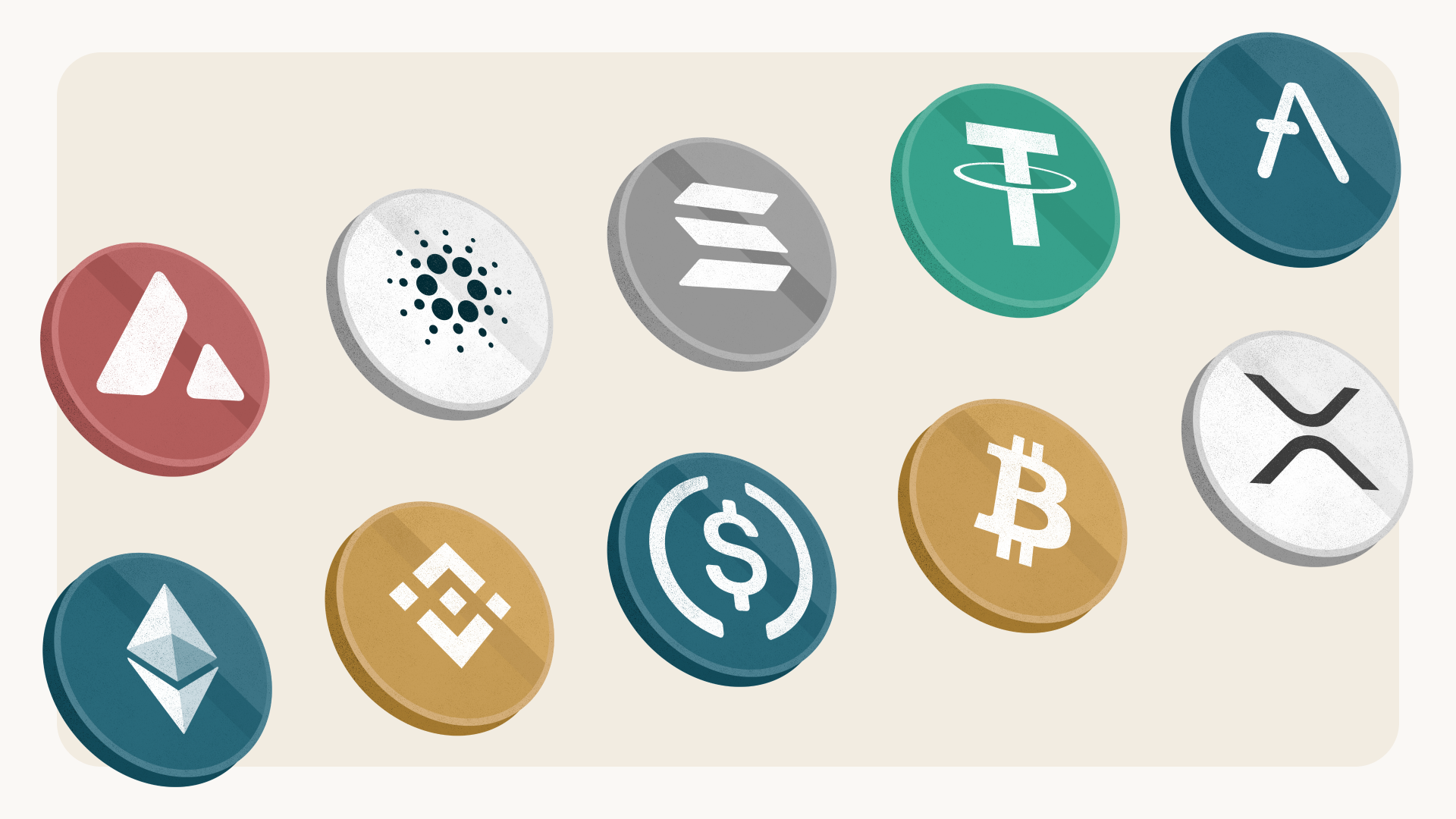 popular coins - Which Crypto Is The Next Bitcoin 