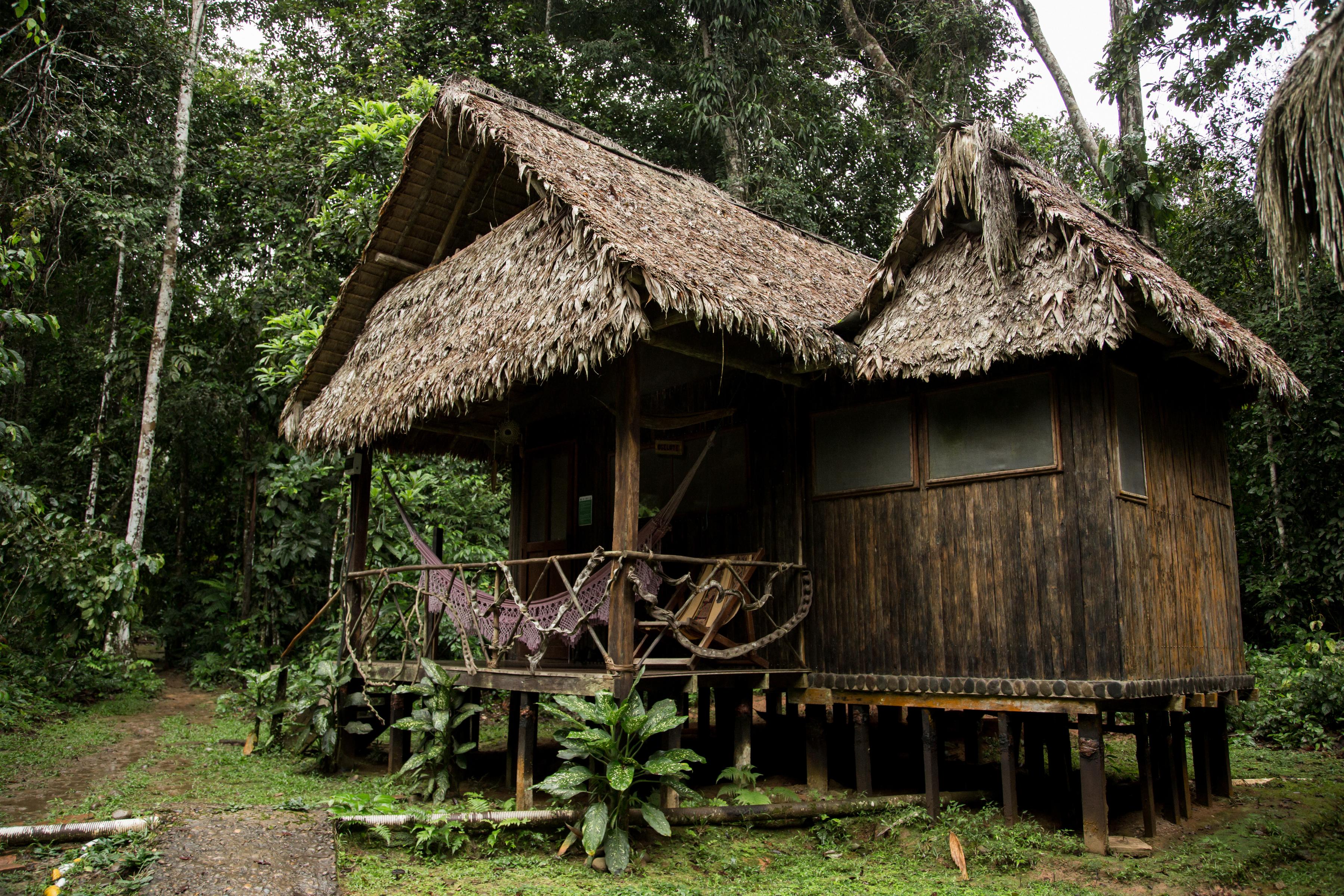 How one South American country became a lab for conservation ...