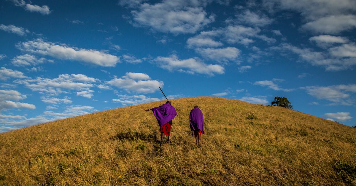 3 ways Indigenous knowledge protects nature 3 ways Indigenous knowledge protects nature