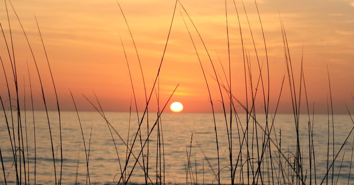 News spotlight: Gullah Geechee people look to nature to save their ...