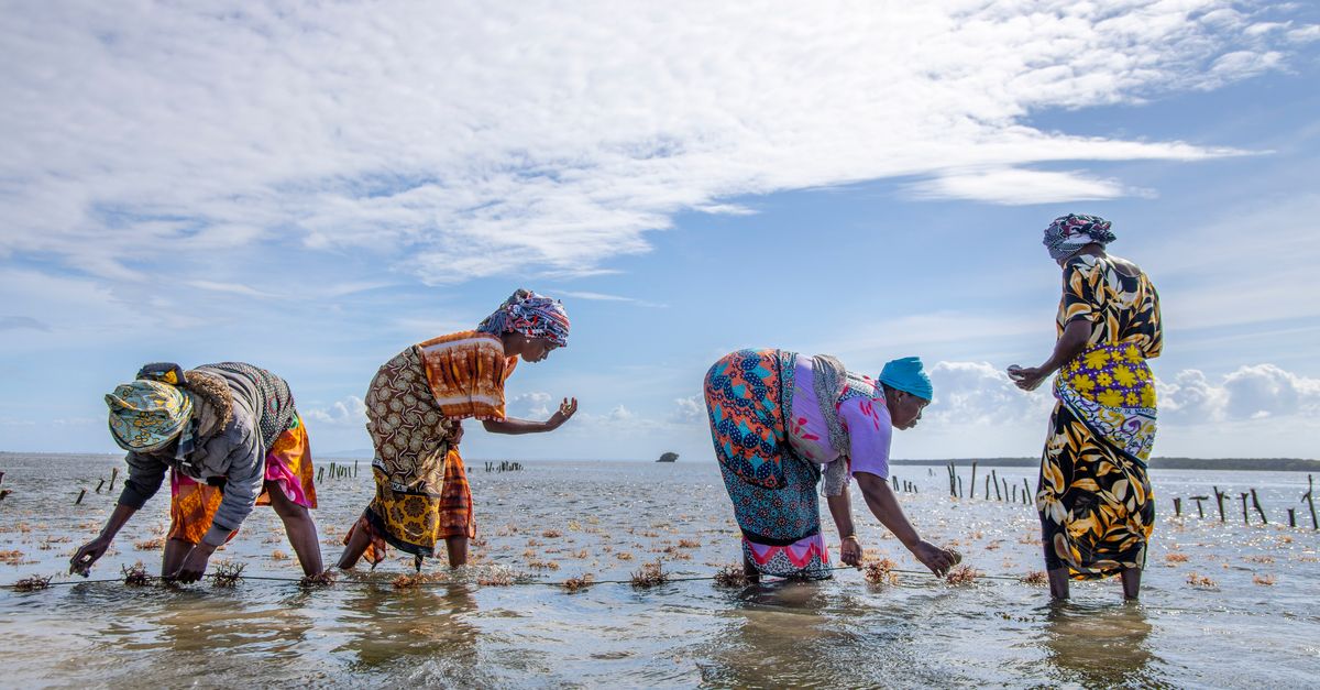 Inside the ancient traditions saving nature's last strongholds
