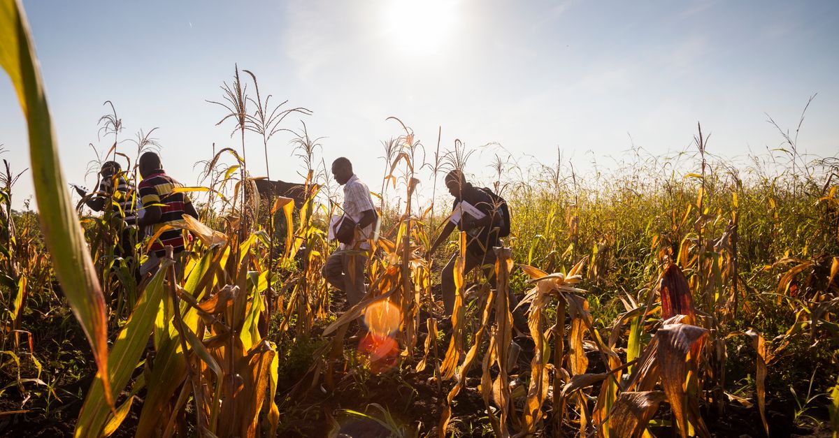 Study: Climate breakdown is moving the farming frontier | Conservation International