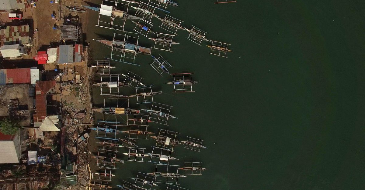 In fishing industry, women face hidden hardships: study In fishing industry, women face hidden hardships: study