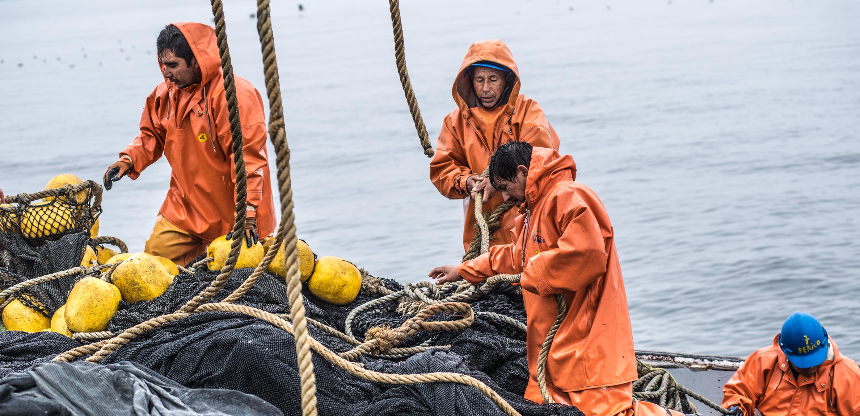 cleaning nets after fishing Ocean Saver Scrubber/Sponge 47 telescoping handle that is super strong and folds for storage. Bureo | Conservation International