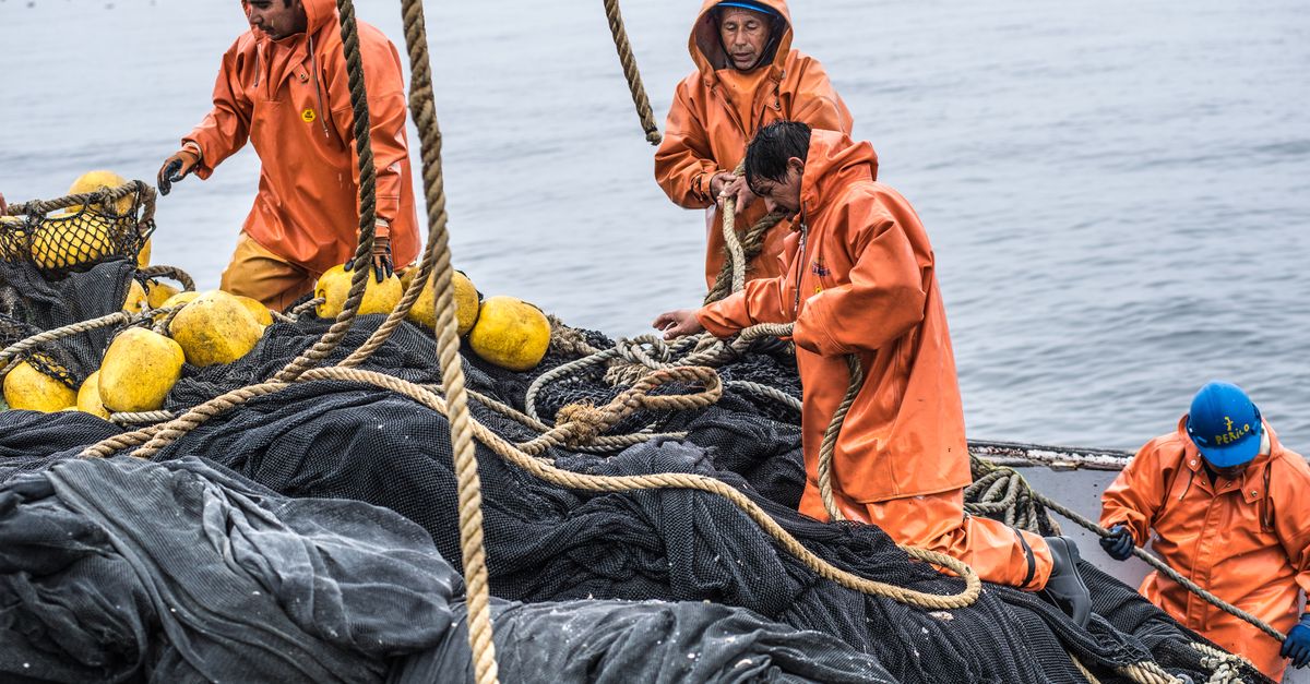 bureo fishing nets From to Decks to You Skateboard Costa and Bureo Collaborate on