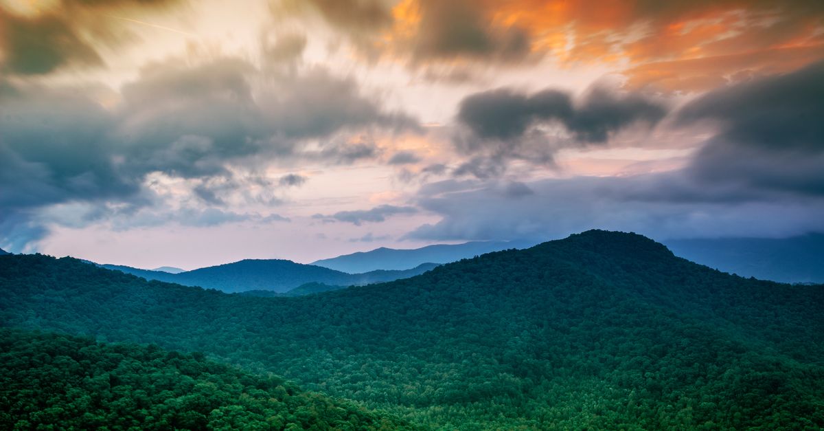Key Amazon summit ends with shared vision, but no common goal to end deforestation | Conservation International
