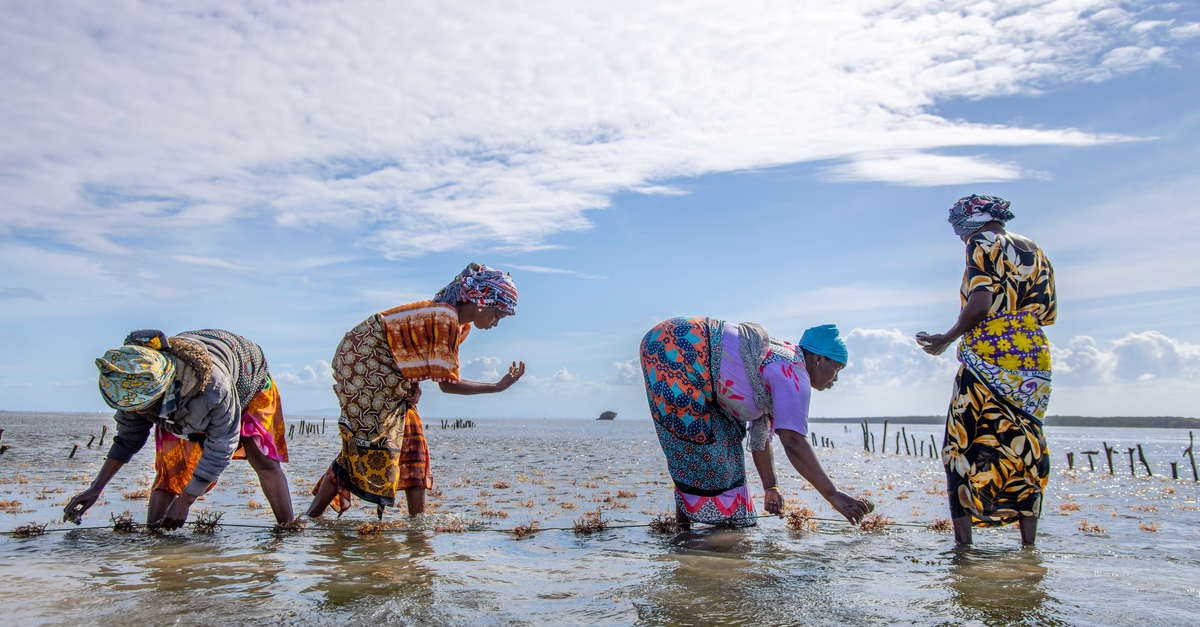 Conservation International Ventures photo