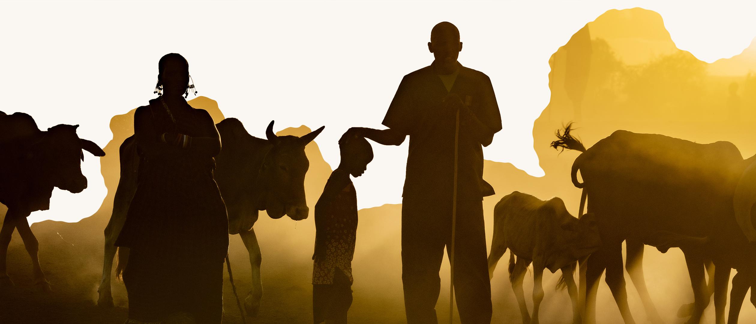Our Mission | Conservation International