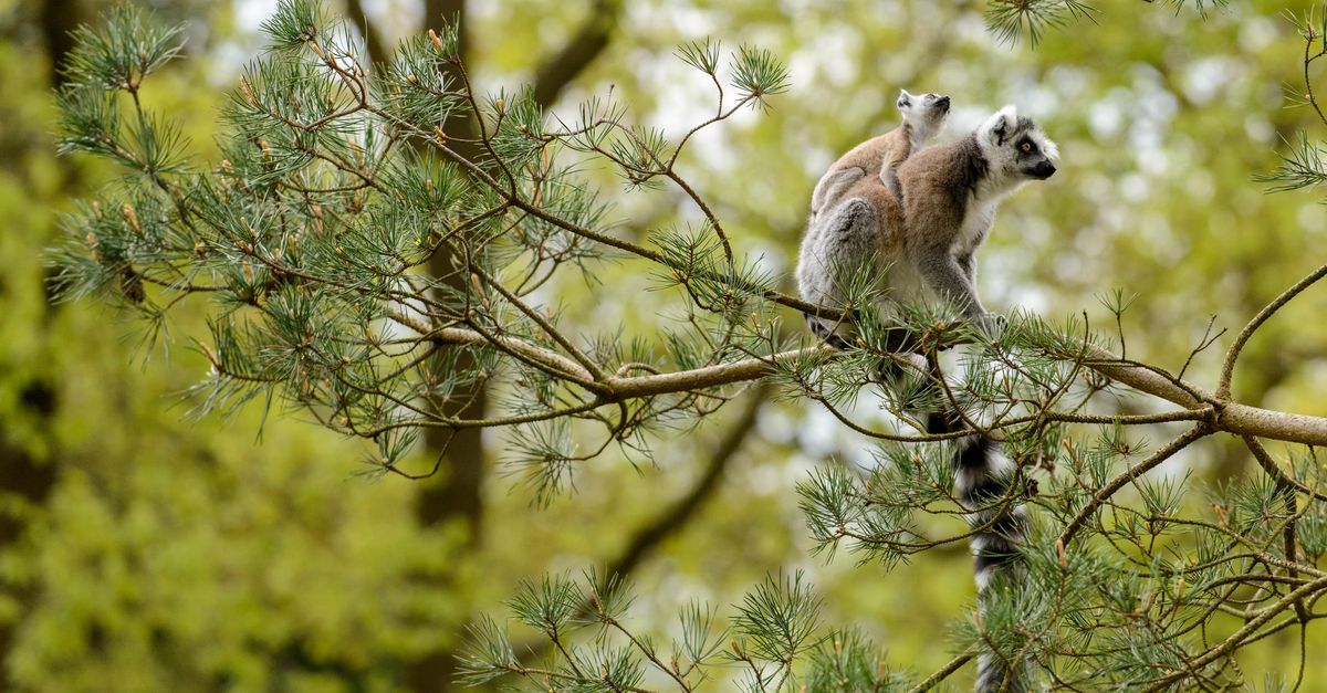 Climate, biodiversity fight gets $5B shot in the arm | Conservation International