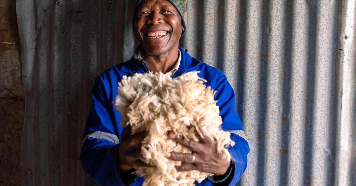 South Africa's herders find an unlikely ally in fashion | Conservation International