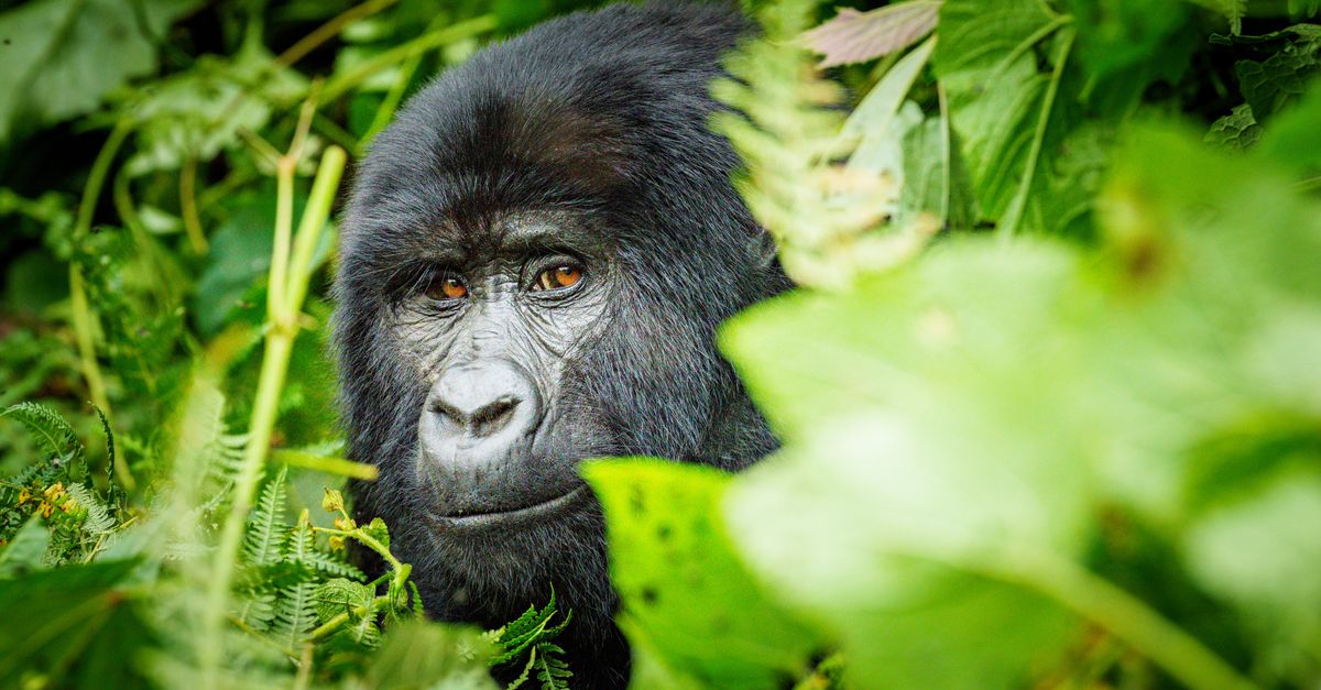 World falling well short of climate goals, new report finds World falling well short of climate goals, new report finds