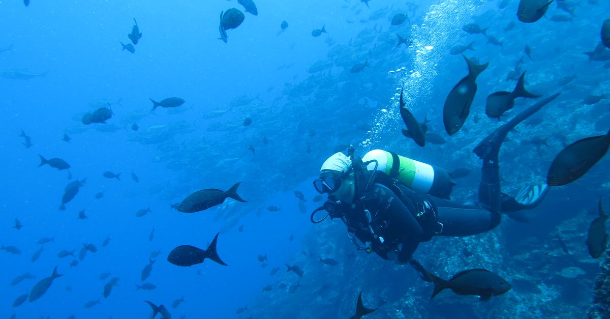 Meet a scientist: the fisheries aficionado | Conservation International