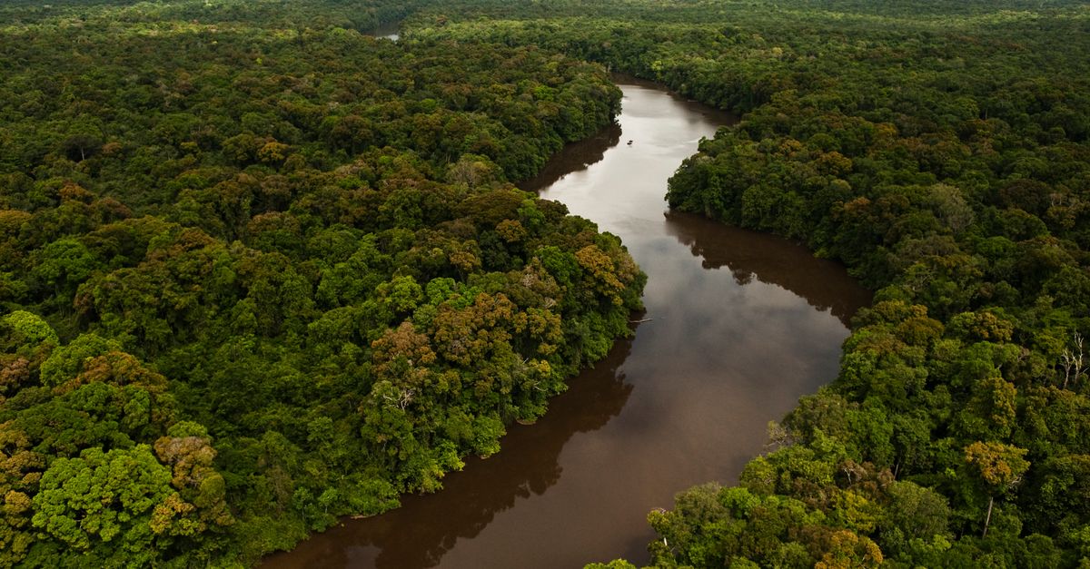 News spotlight: A quarter of freshwater species face extinction, study finds News spotlight: A quarter of freshwater species face extinction, study finds