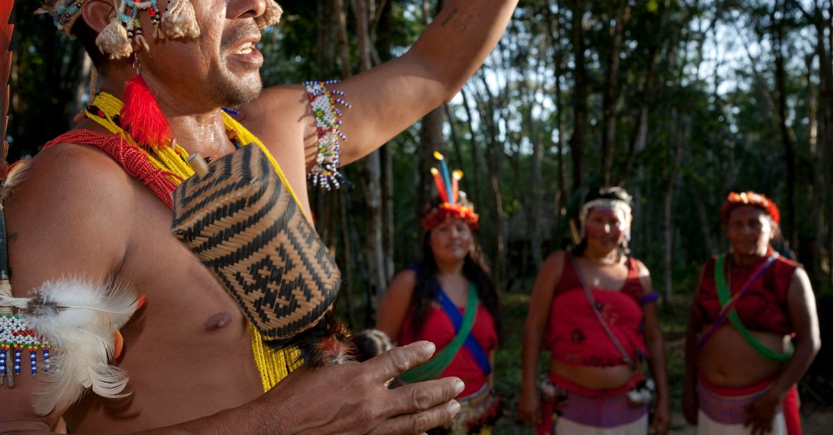 Normal Indegenous 5 ways indigenous knowledge can solve global problems - Rin
