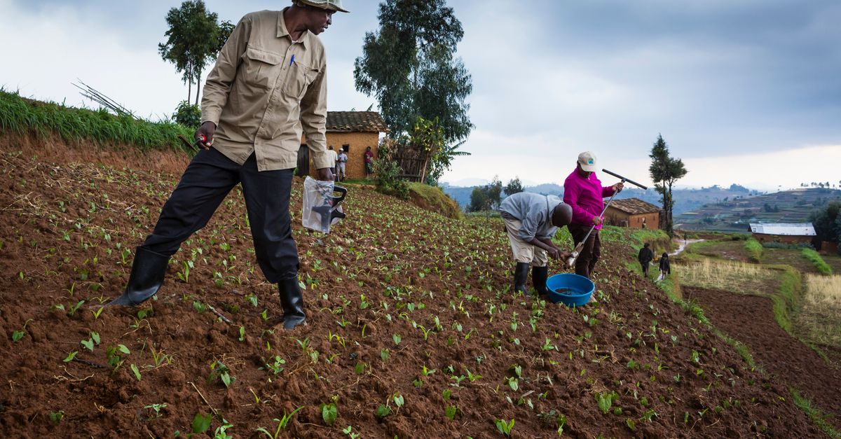 To stop climate catastrophe, look to soil: study To stop climate catastrophe, look to soil: study