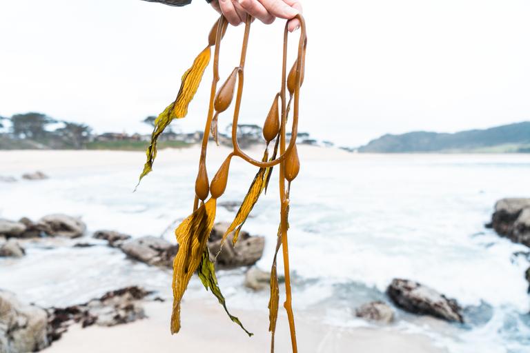 Meet the startup turning the tide on plastic pollution | Conservation ...
