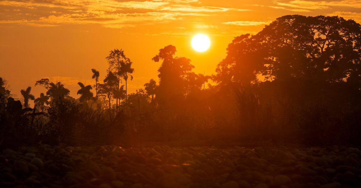 That UN climate report wasn’t all bad news That UN climate report wasn’t all bad news