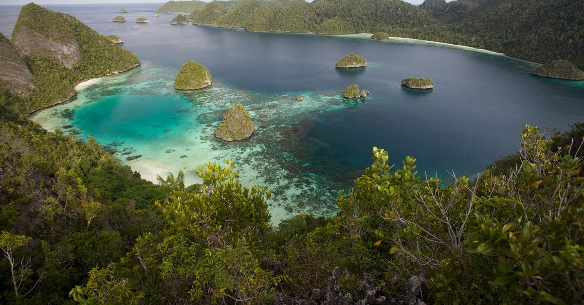 Indonesian province leaps ahead in conservation Indonesian province leaps ahead in conservation