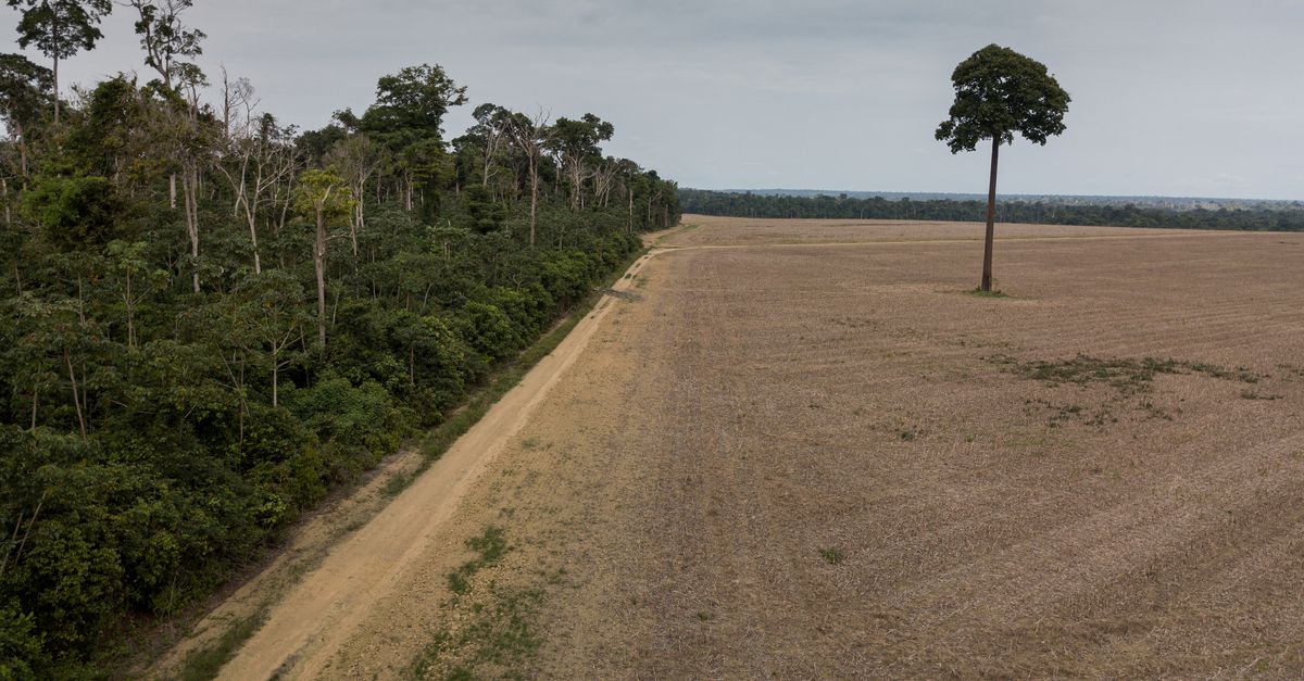 Ahead of pandemic negotiations, epidemiologist advocates for nature Ahead of pandemic negotiations, epidemiologist advocates for nature