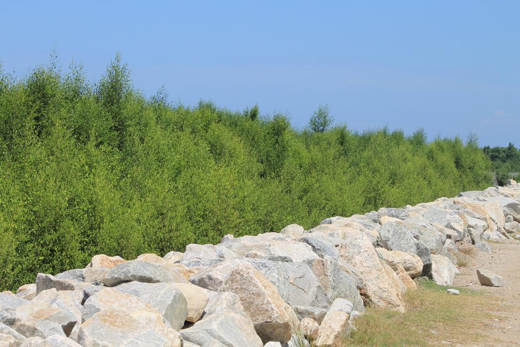 Green Gray Infrastructure Conservation International