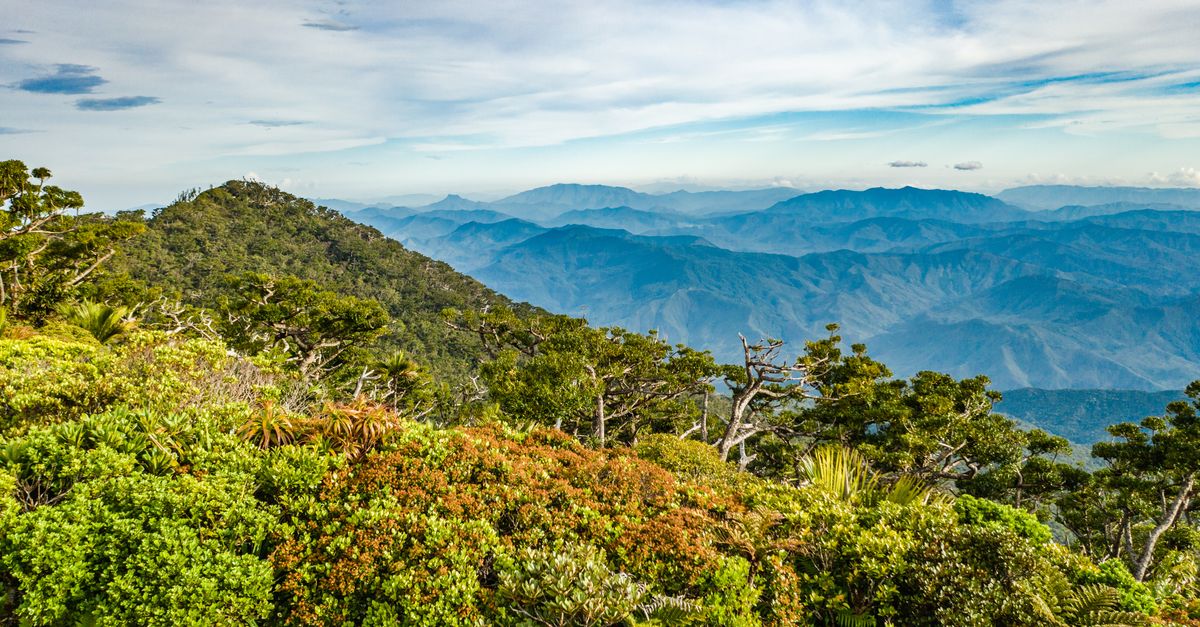 Expert: To prevent pandemics like COVID-19, ‘take care of nature’ Expert: To prevent pandemics like COVID-19, ‘take care of nature’