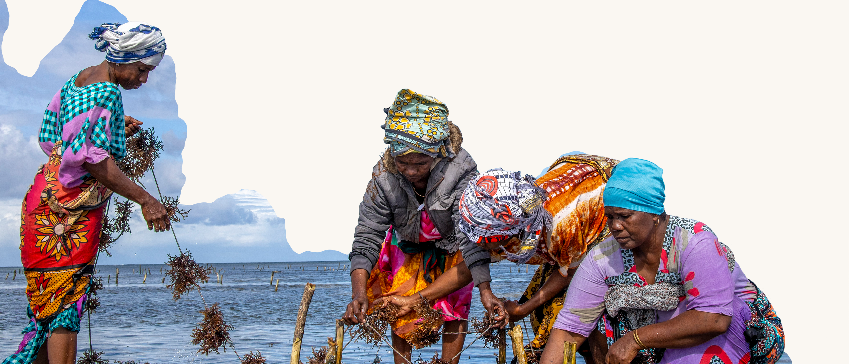 Conservation Universal Our Mission | Conservation International