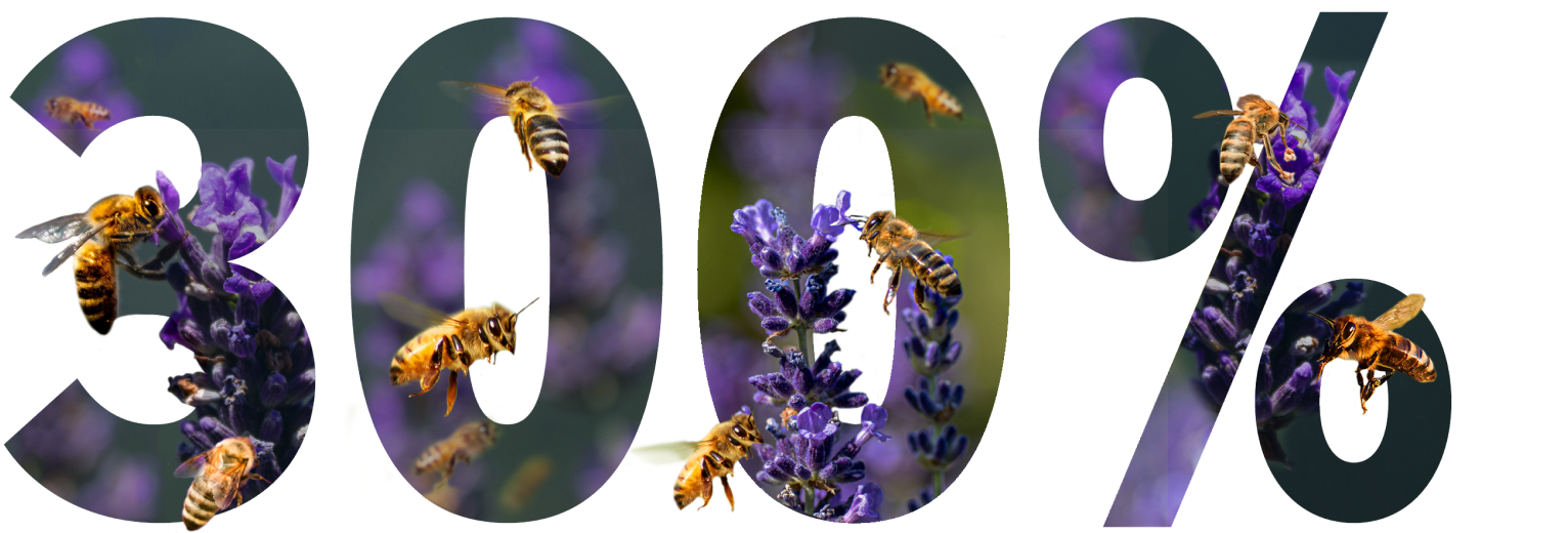 Post image 4