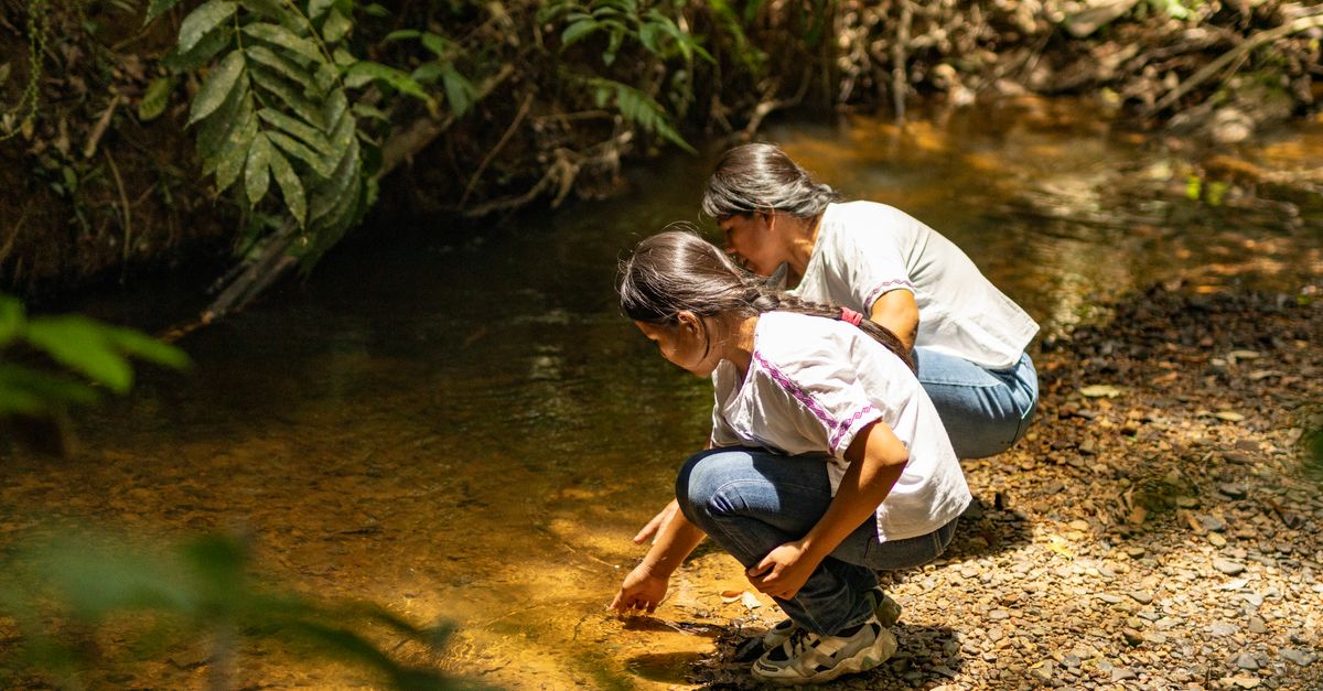 CI in the news: New research reveals why Indigenous lands remain so resilient