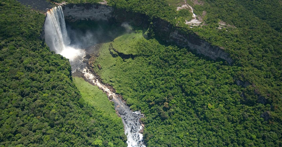Conservation International Ventures photo