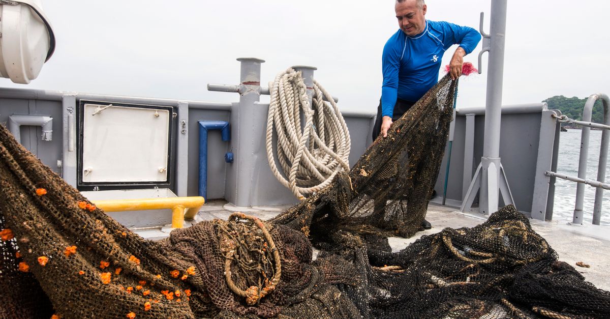 Off Panama’s coast, divers resurrect a ‘ghost’ of the deep Off Panama’s coast, divers resurrect a ‘ghost’ of the deep