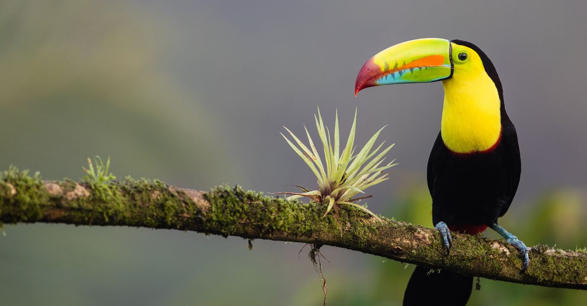 Conservation International Ventures photo