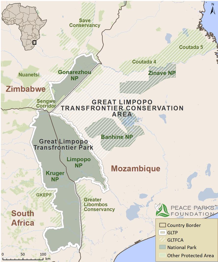 Long silenced, an African park roars back to life | Conservation ...