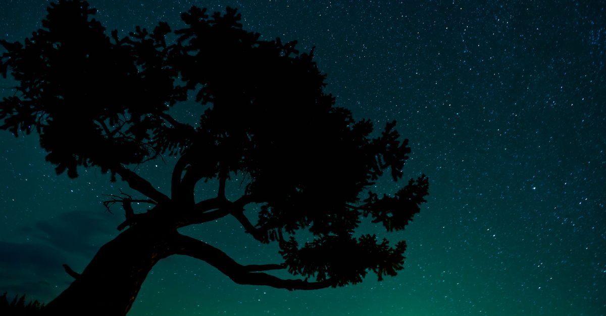 Expert: Rollbacks of environmental protections imperil nature — and human health Expert: Rollbacks of environmental protections imperil nature — and human health