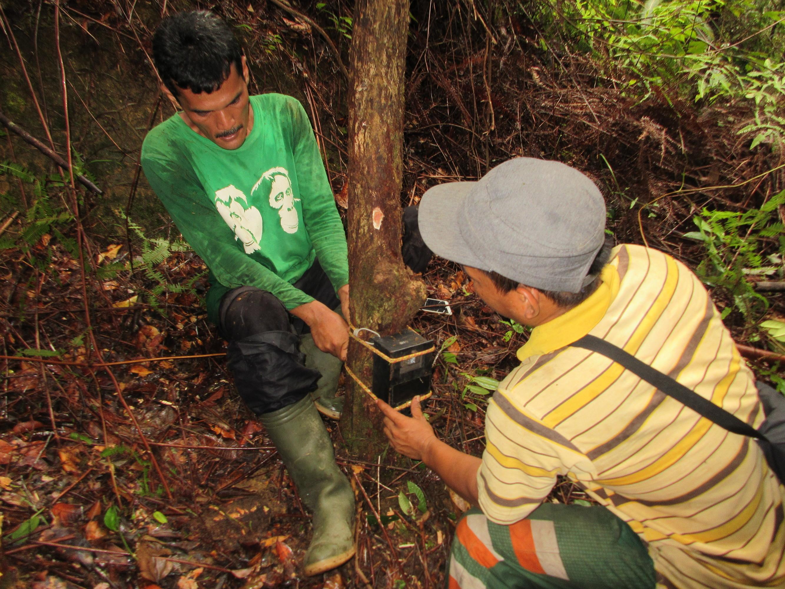Strengthening the System of Protected Areas and Improvement of its ...