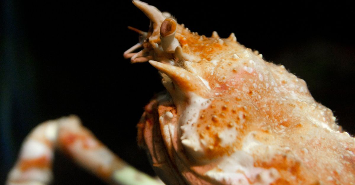 News spotlight: What happened to Alaska’s snow crabs? Scientists have a few leads. | Conservation International
