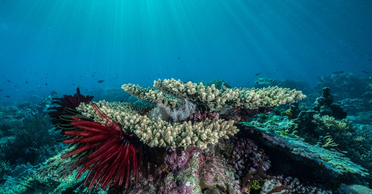 5 ways the ocean keeps our climate in check 5 ways the ocean keeps our climate in check