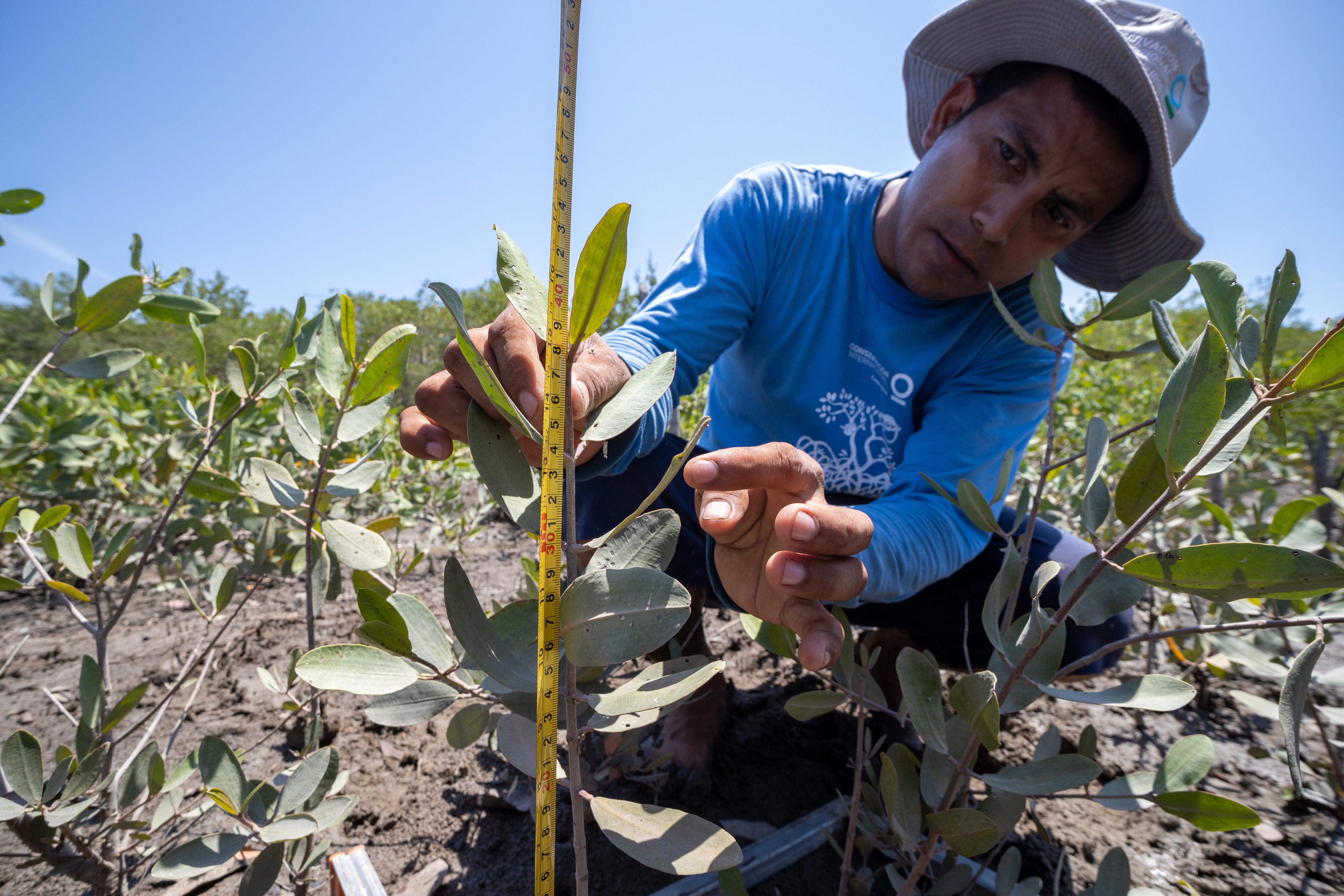 Costa Rica | Conservation International