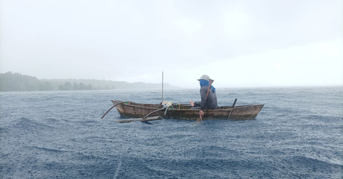 Who profits from sustainable seafood? Not the fishers, study finds | Conservation International