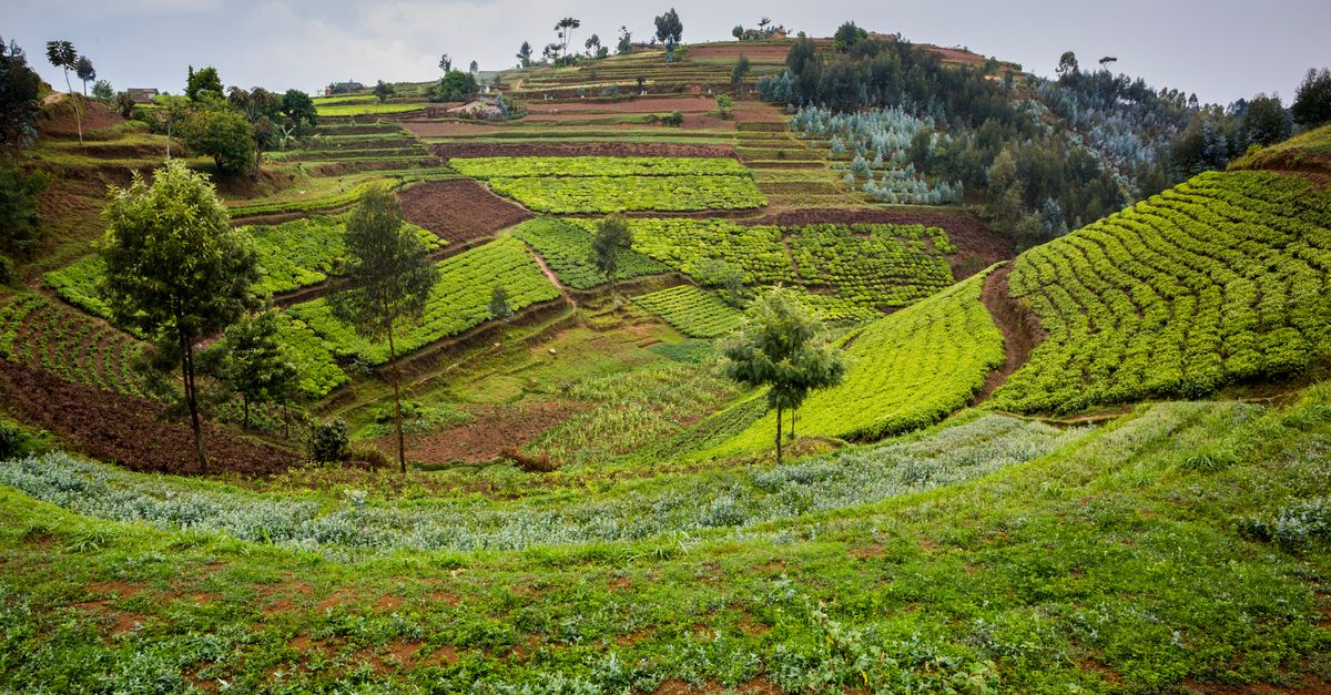 In the news: Climate change is scrambling food production In the news: Climate change is scrambling food production