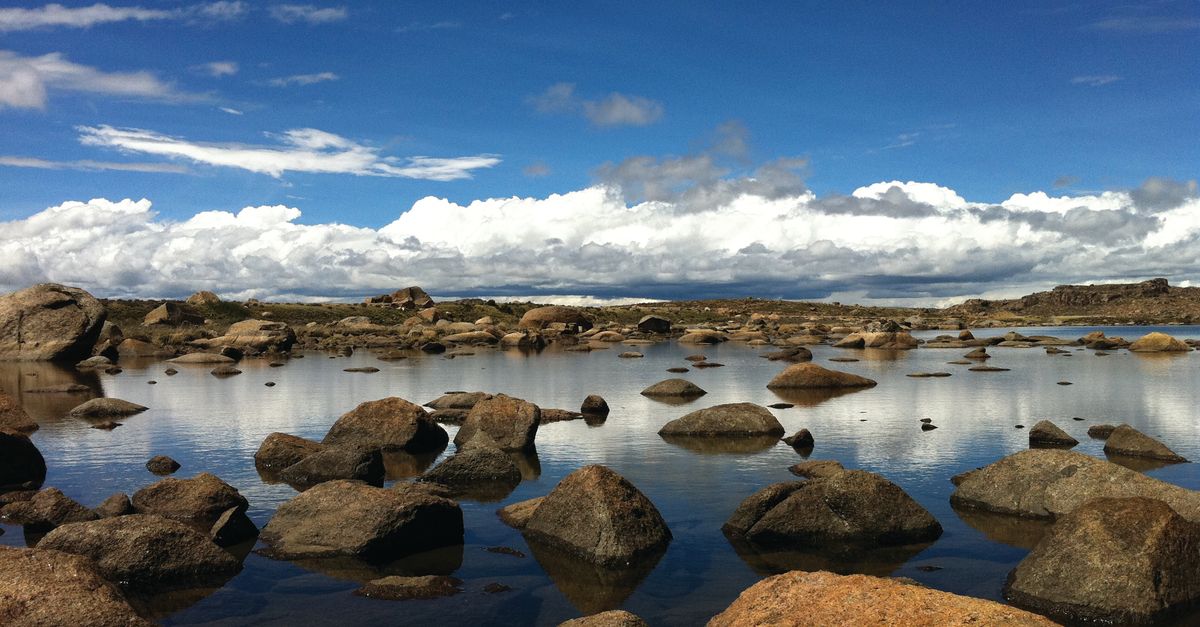 It’s 2023 — is this the year fresh water has its moment? | Conservation International