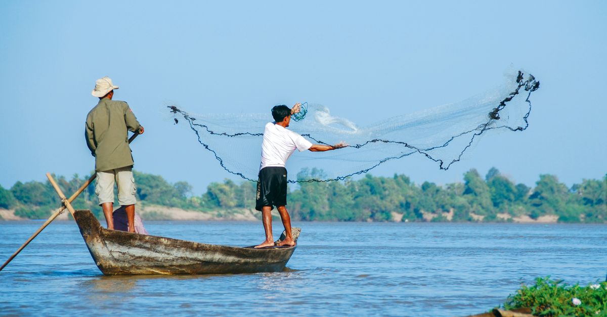 Report: One-fifth of Mekong River fish face extinction Report: One-fifth of Mekong River fish face extinction