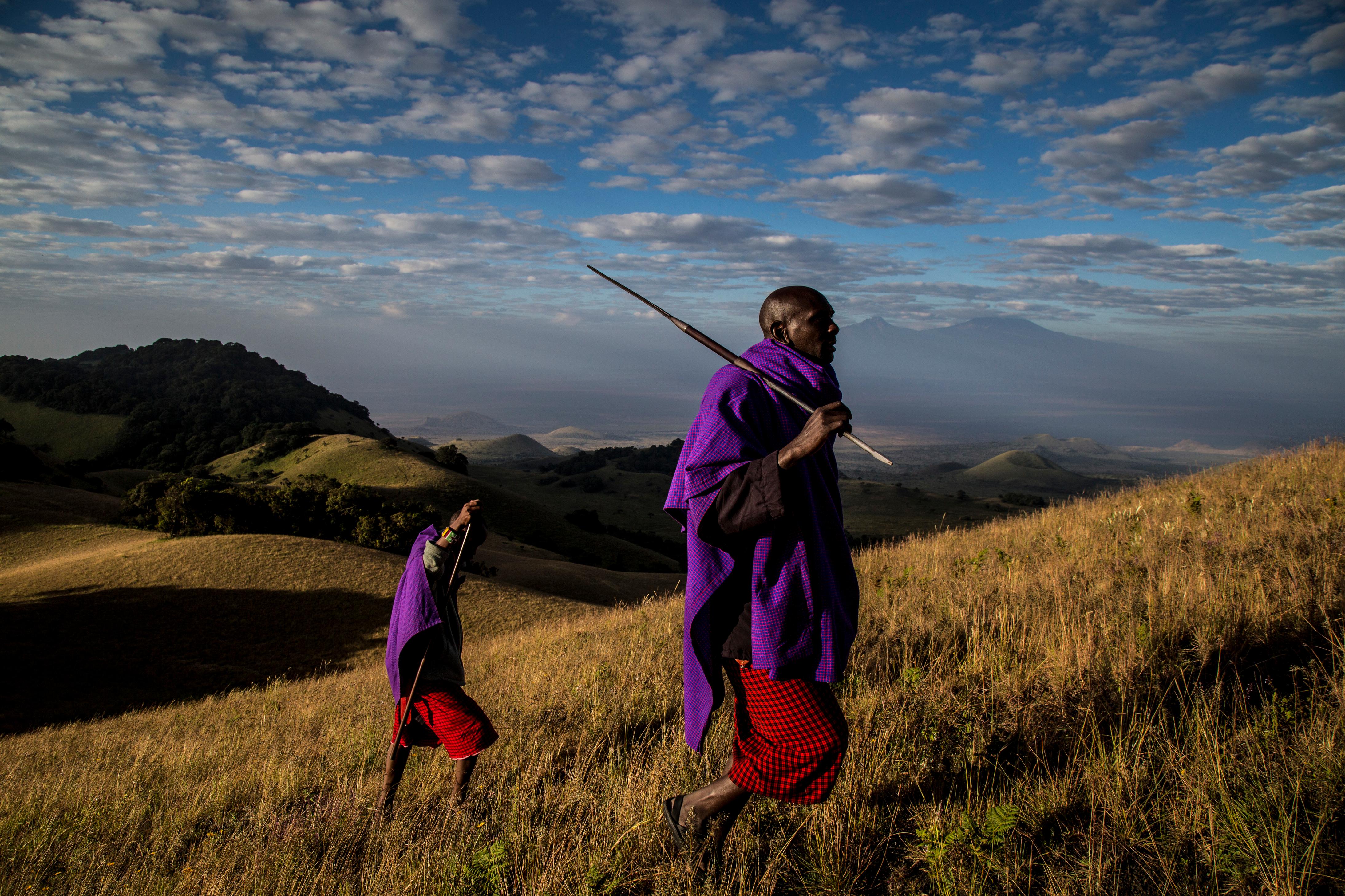 The giving trees: In Kenya, forests keep communities from the brink ...