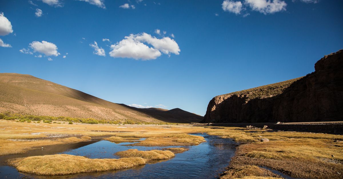 5 things you should know about wetlands | Conservation International