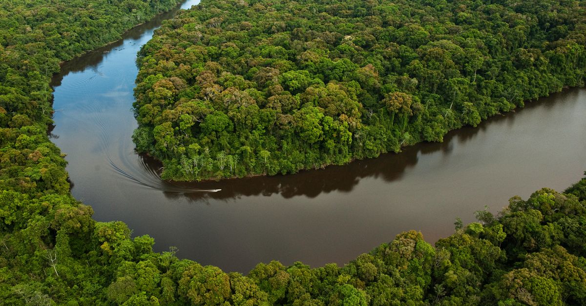 One small country, one giant leap for nature | Conservation International
