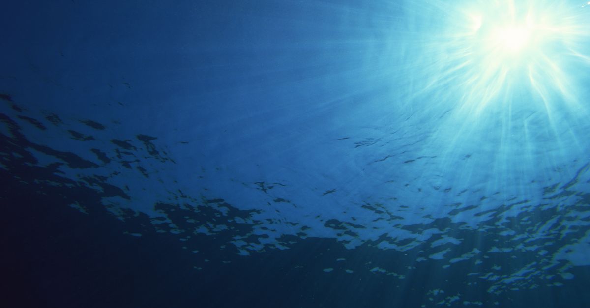 Why a new treaty to protect the high seas is a ‘game-changer’ Why a new treaty to protect the high seas is a ‘game-changer’