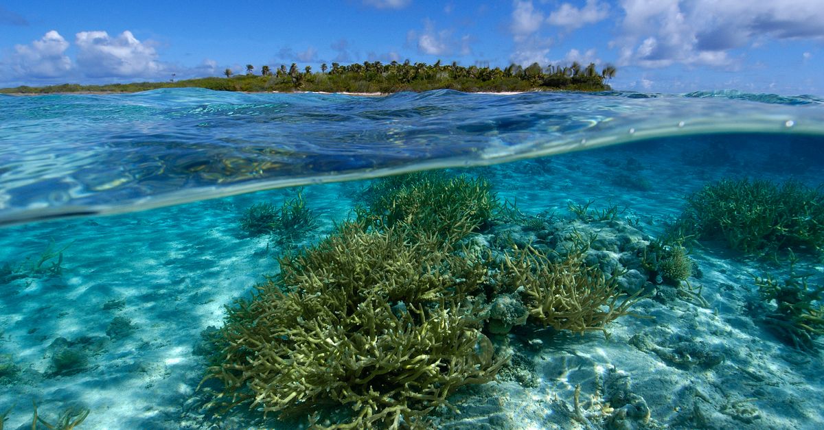 News spotlight: Can atolls survive sea-level rise? News spotlight: Can atolls survive sea-level rise?
